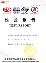 檢驗報告